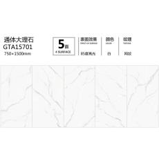 GTA15701定制